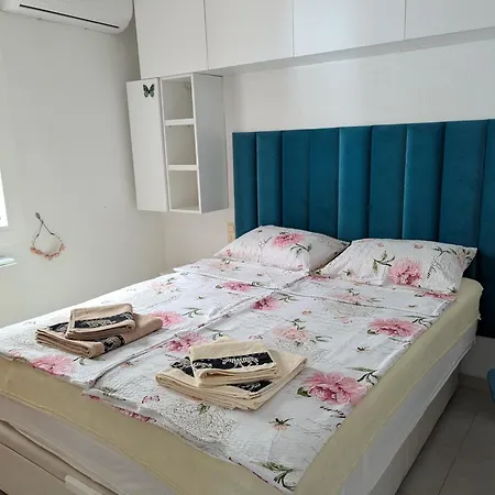 Piotr تورّيفيِخا